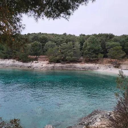 Studio City With Free Parking Apartman *