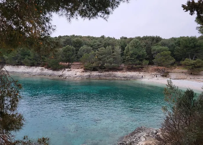 Studio City With Free Parking Daire *