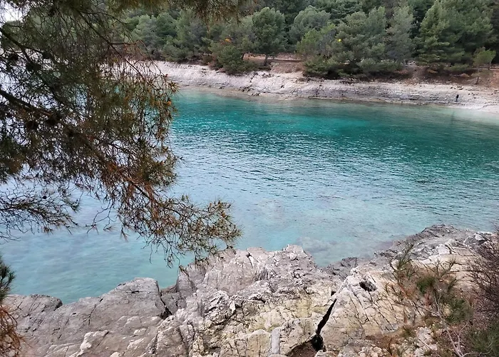 Studio City With Free Parking Апартаменты *